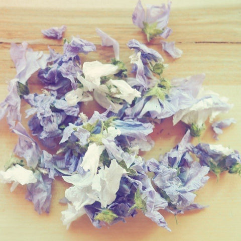 Mauve musquée