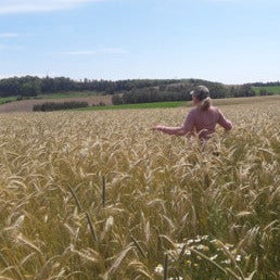 Seigle d'automne bio