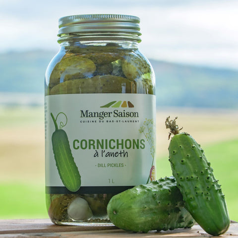 Cornichon à l'aneth