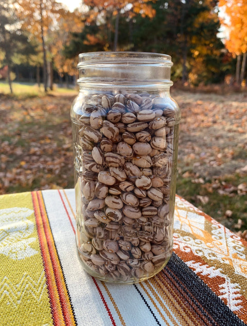 Pourquoi privilégier les légumineuses cultivées au Québec?