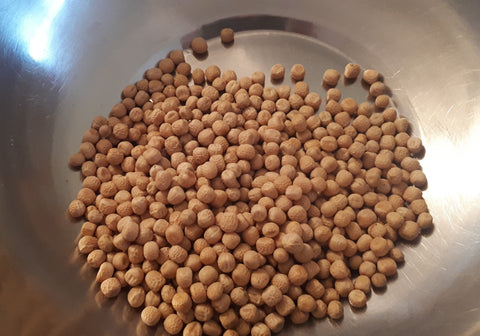 Le pois jaune : au-delà de la soupe aux pois 🥣