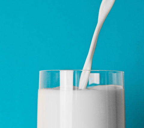 Substances laitières et substances laitières modifiées