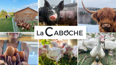 La Caboche Ferme traditionnelle