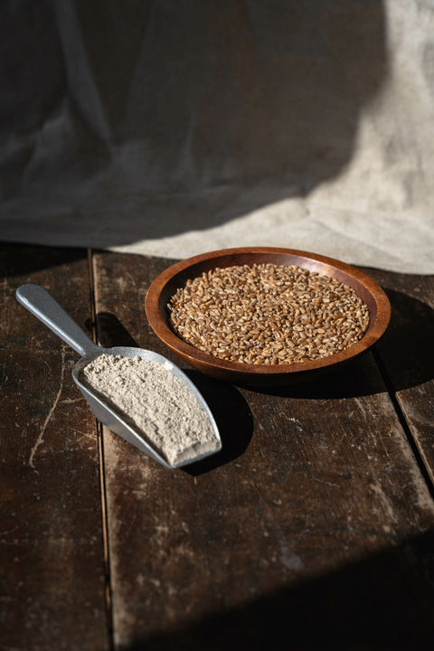 Farine de blé tamisée à pain bio