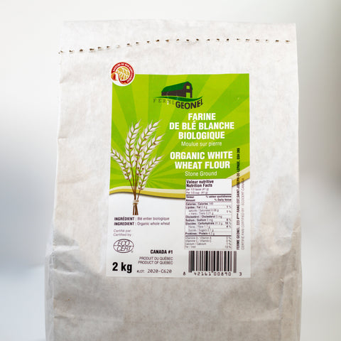 Farine blé blanche non-blanchie bio