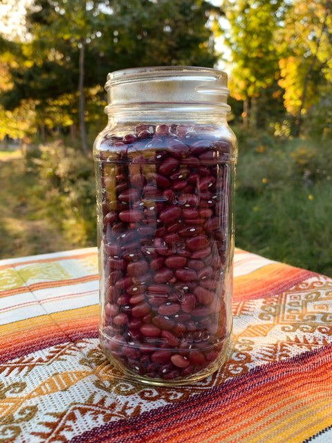 Haricot sec rouge chili, vrac