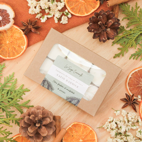 Lampions - Parfums variés