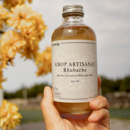 Sirop de rhubarbe