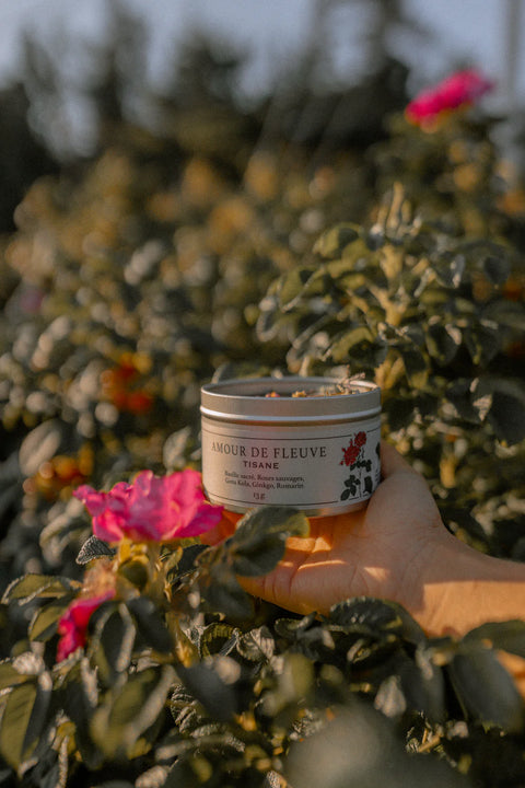 Tisane - Mélanges variés