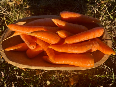 Carottes oranges