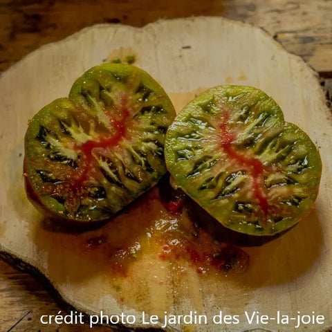 Plant de tomate Everett's Rusty Oxheart