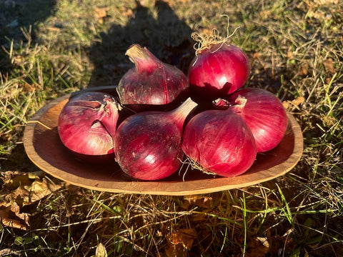 Oignons rouges