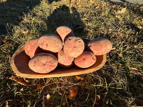 Pommes de terre rouges