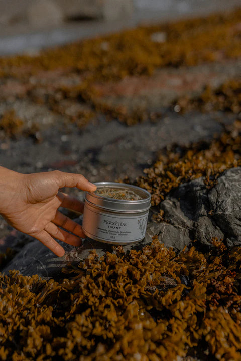 Tisane - Mélanges variés