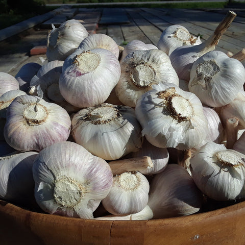 Ferme Le Champ libre