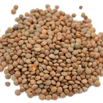 Lentilles brunes bio, vrac