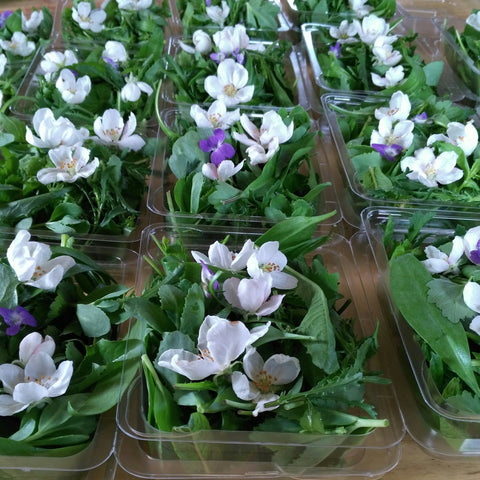 Mesclun forestier